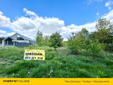 Łódź ,  Moskule   7