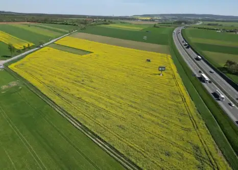 Gogolin ,  Strzelecka   2