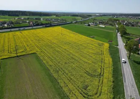 Gogolin ,  Strzelecka   5