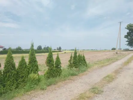 Giewartów ,  Ks. Antoniego Wichlińskiego   13