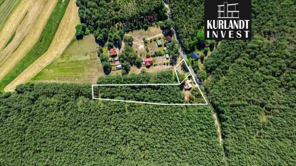 Kowalskie błota   6