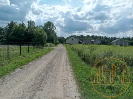 Strugi krzywickie   2