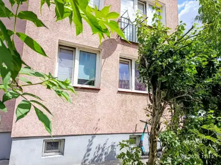 Braniewo ,  Wąska   12