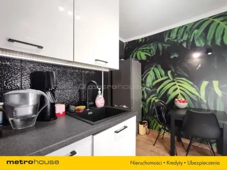 Katowice ,  Oswobodzenia   11