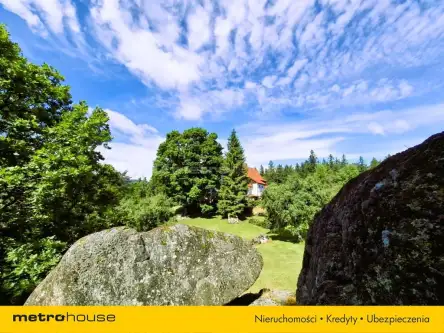 Borowice ,  Leśna   14