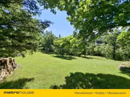 Borowice ,  Leśna   17