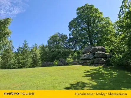 Borowice ,  Leśna   18