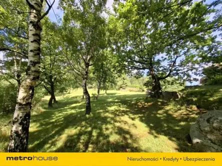 Borowice ,  Leśna   19