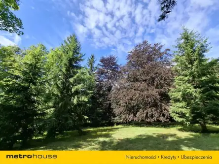 Borowice ,  Leśna   20