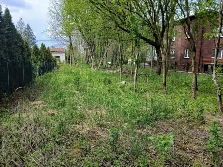  Dąbrowa górnicza   Szałasowizna 