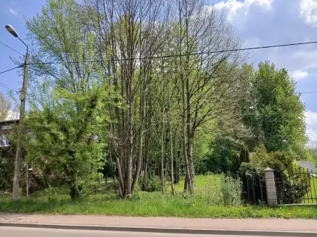 Dąbrowa górnicza ,  Szałasowizna   2