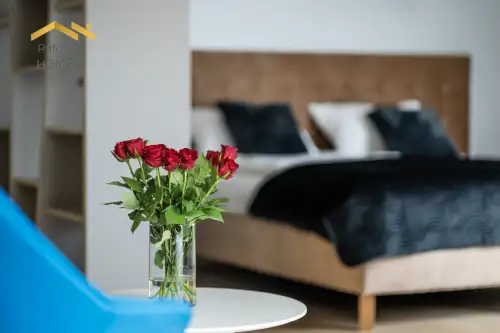 Kraków ,  Halicka   9