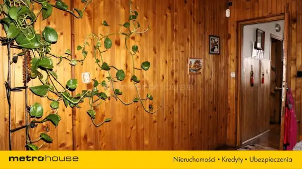 Warka ,  Jesienna   15