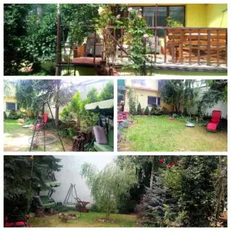 Warka ,  Jesienna   9