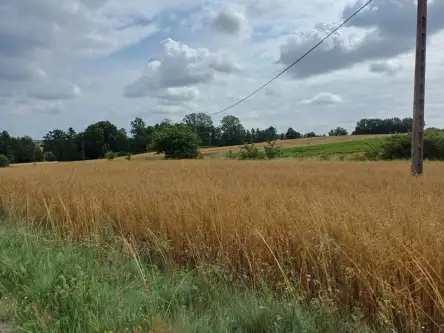 Żukowo ,  Dębowa   3