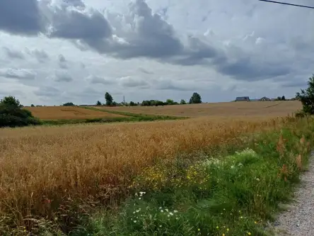 Żukowo ,  Dębowa   5