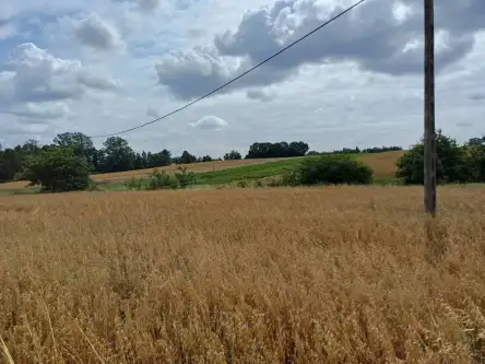 Żukowo ,  Dębowa   8