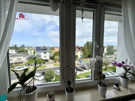 Gdynia ,  Płk. Stanisława Dąbka   12