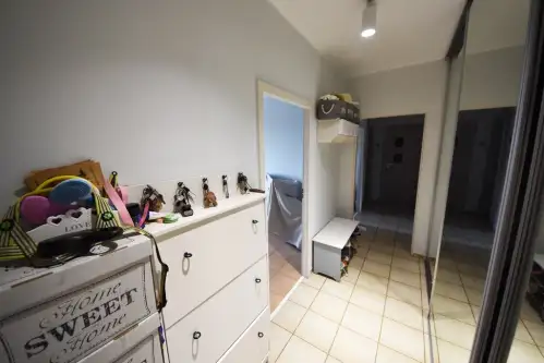 Opole ,  Skautów Opolskich   17