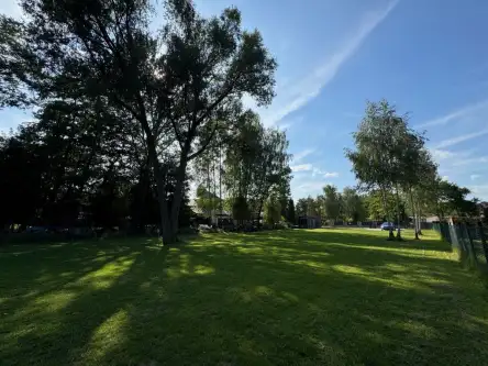 Złotokłos ,  Staszica   5