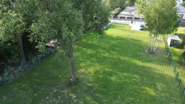 Złotokłos ,  Staszica   9