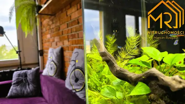 Tarnów ,  Skowronków   7