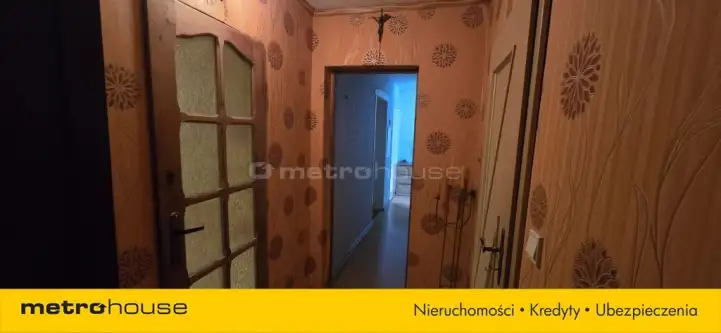 Golub-dobrzyń ,  17 Stycznia   13