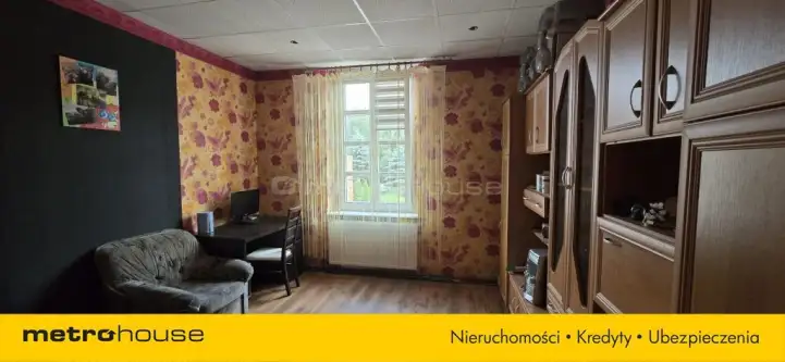 Golub-dobrzyń ,  17 Stycznia   15