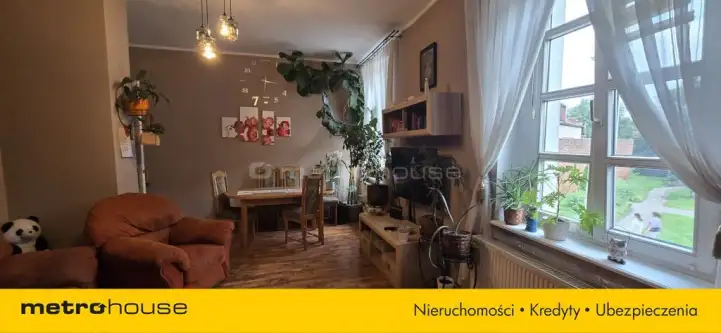 Golub-dobrzyń ,  17 Stycznia   5