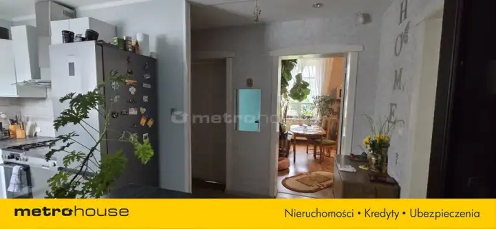 Golub-dobrzyń ,  17 Stycznia   8