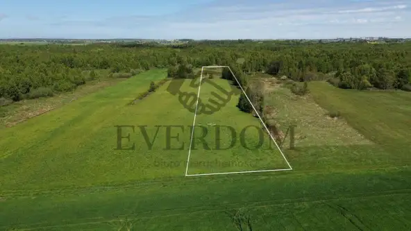 Starzyński dwór   10