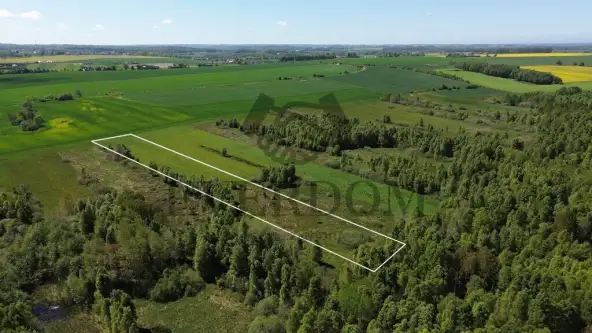 Starzyński dwór   8