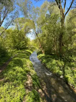 Poznań ,  Smolna   12