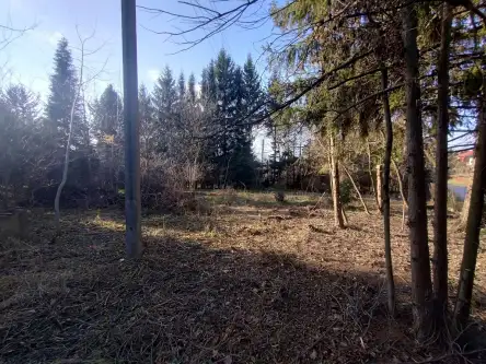 Przemyśl ,  Zofii Chrzanowskiej   3