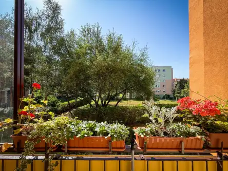 Bydgoszcz ,  Mikołaja Bołtucia   3