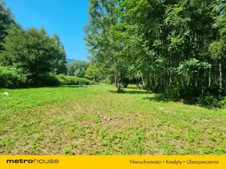 Buczkowice ,  Wypoczynkowa   17