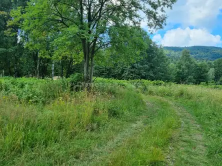 Buczkowice ,  Wypoczynkowa   19