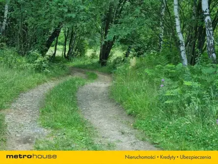 Buczkowice ,  Wypoczynkowa   2