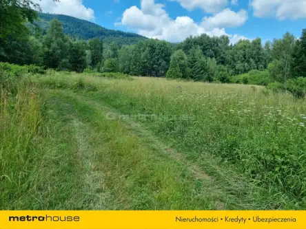 Buczkowice ,  Wypoczynkowa   6