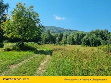 Buczkowice ,  Wypoczynkowa   8