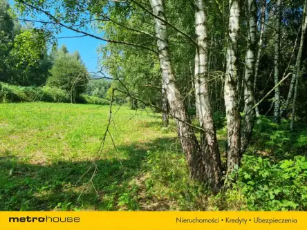 Buczkowice ,  Wypoczynkowa   12