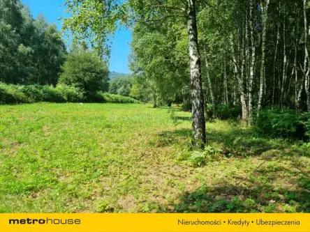 Buczkowice ,  Wypoczynkowa   14