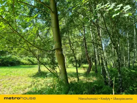 Buczkowice ,  Wypoczynkowa   16