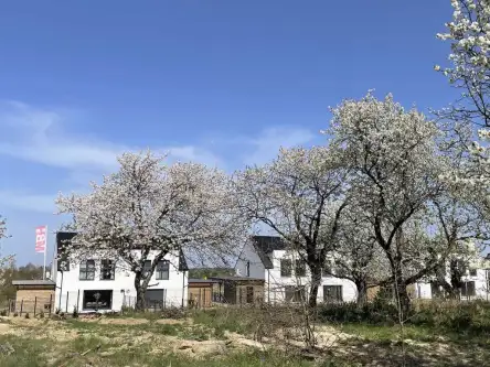 Szczecin ,  Rymarska   9