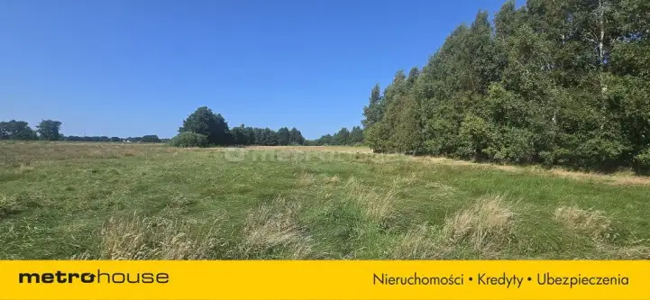 Karwieńskie błoto pierwsze ,  Jaśminowa   6