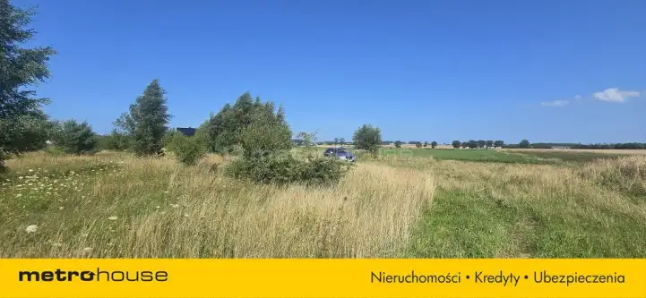 Strzelno ,  Szkolna   10