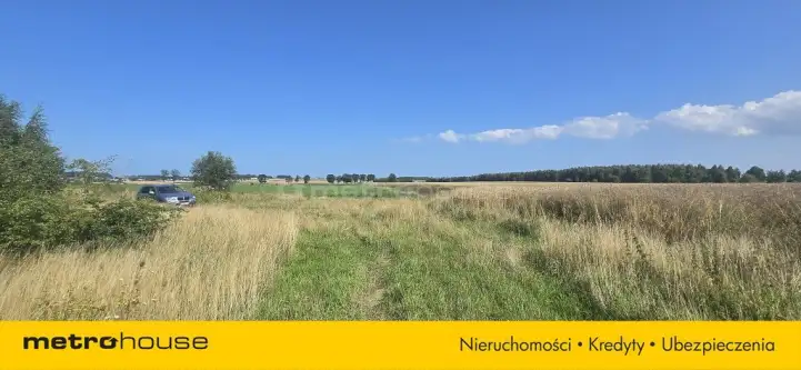 Strzelno ,  Szkolna   3