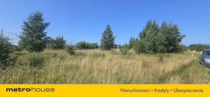 Strzelno ,  Szkolna   5