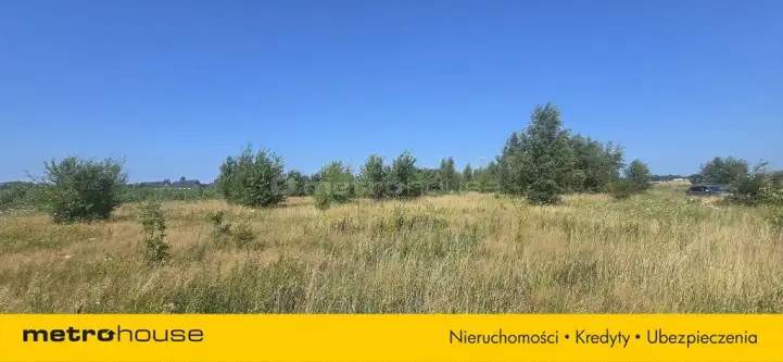 Strzelno ,  Szkolna   6