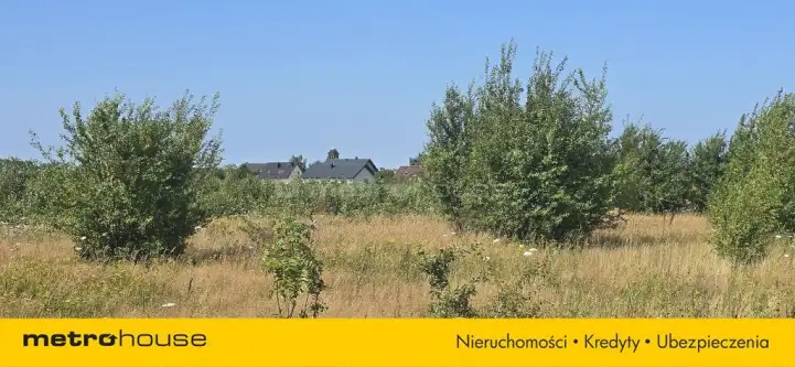 Strzelno ,  Szkolna   8